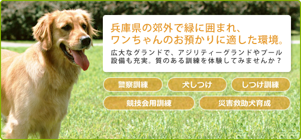 兵庫県の郊外で緑に囲まれ、ワンちゃんのお預かりに適した環境。