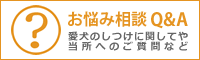 お悩み相談Q$&A