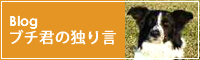 Blog ブチ君の独り言