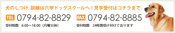 犬のしつけ、訓練は六甲ドッグスクールへ！見学受付はコチラまで。 TEl 0794-82-8829 FAX 0794-82-8885 受付時間　6:00～18:00（月曜日休）　 受付時間　24時間受け付けております